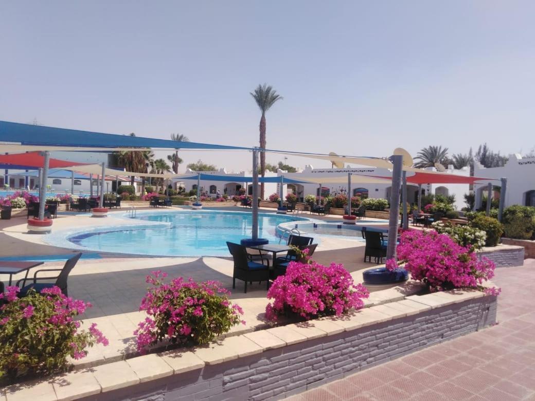 Assiut Cement Hotel Εξωτερικό φωτογραφία